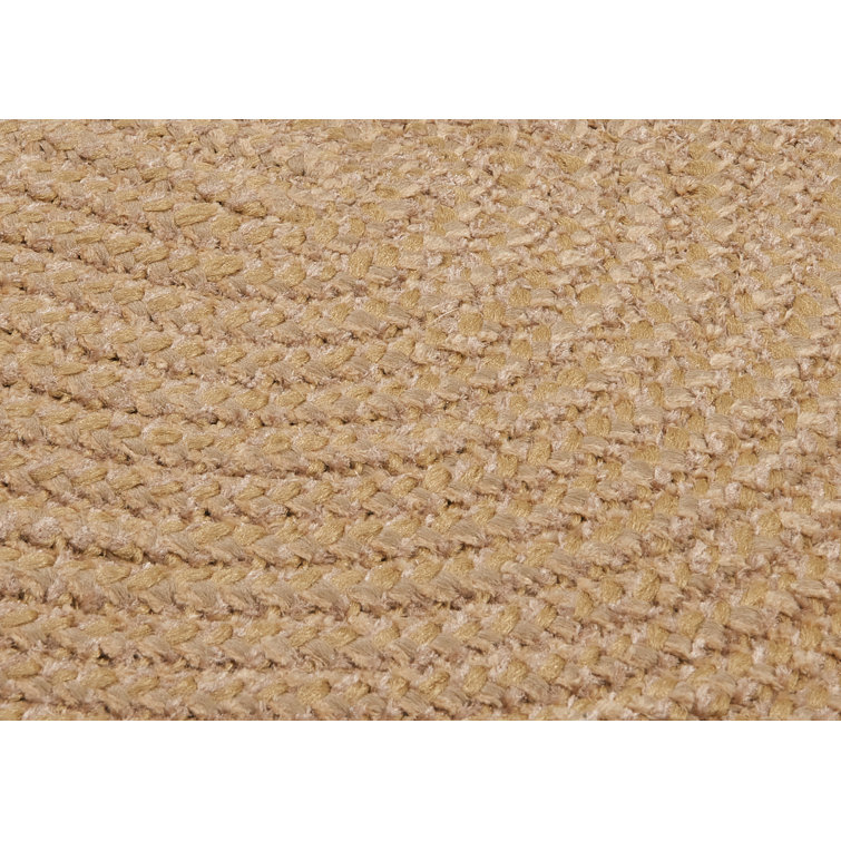Winston Porter Randleswood Braided Tan Indoor/Outdoor Area Rug